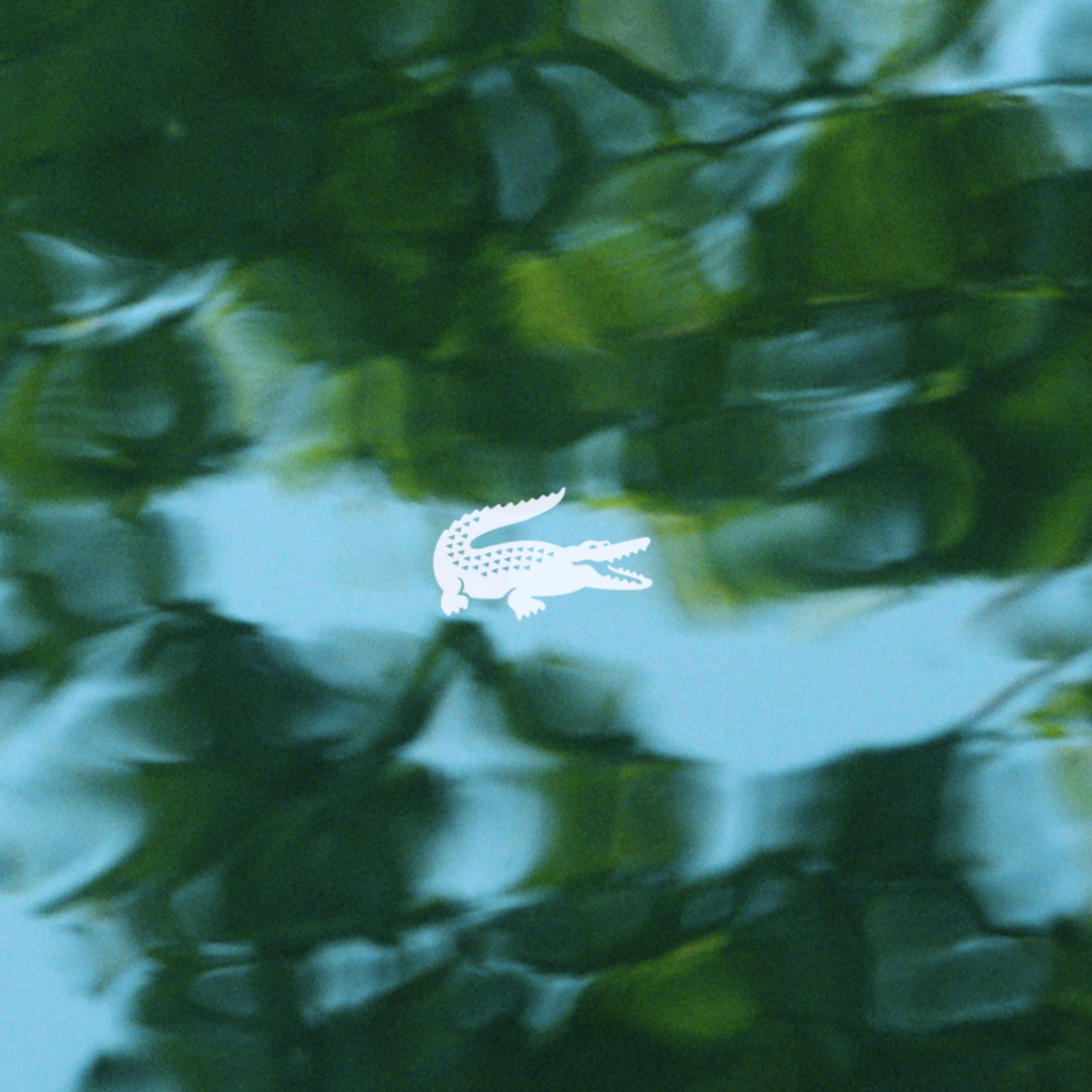 Lacoste, Looking Wild