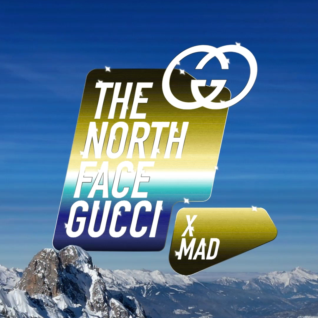 The North Face x Gucci