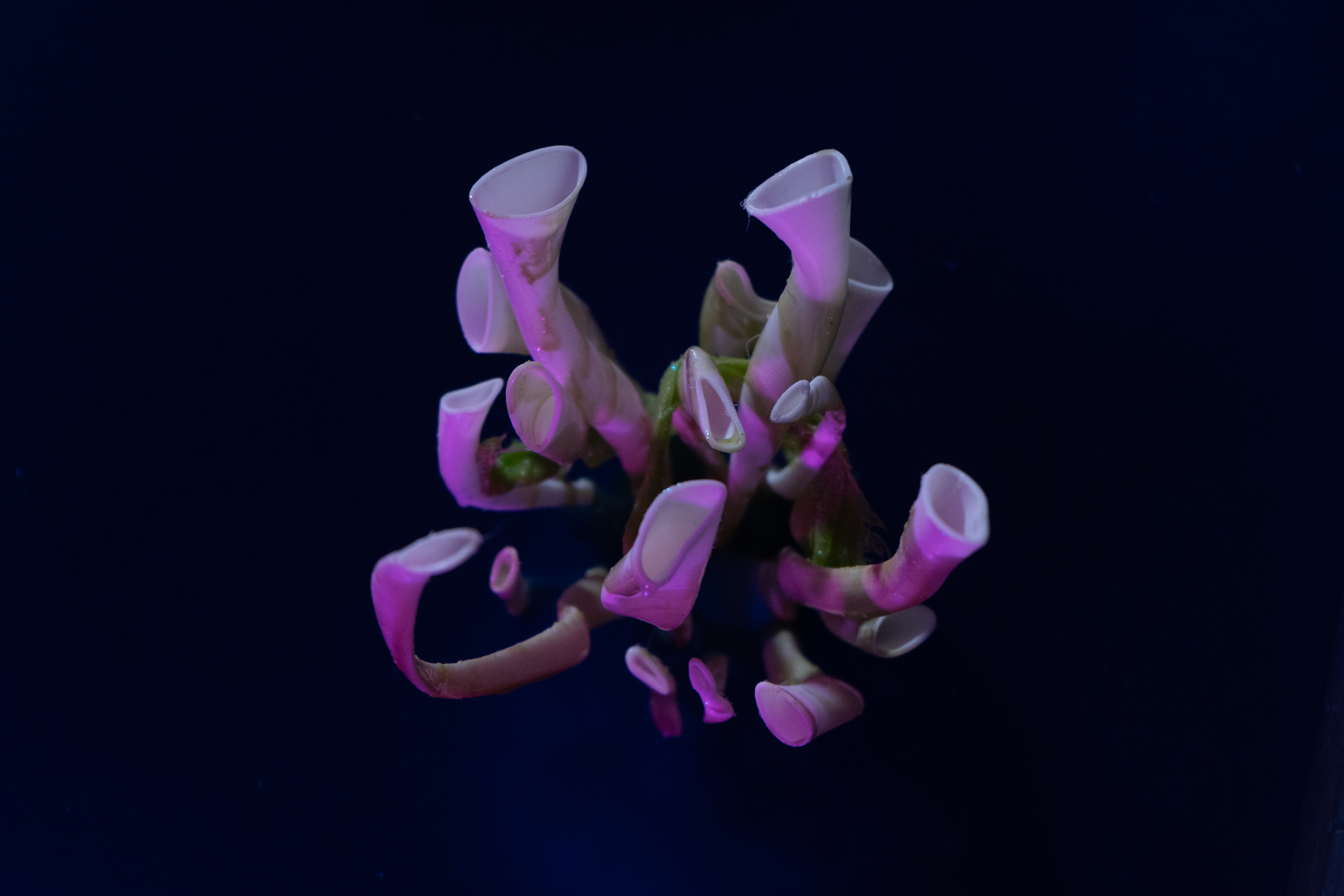 EG_09094