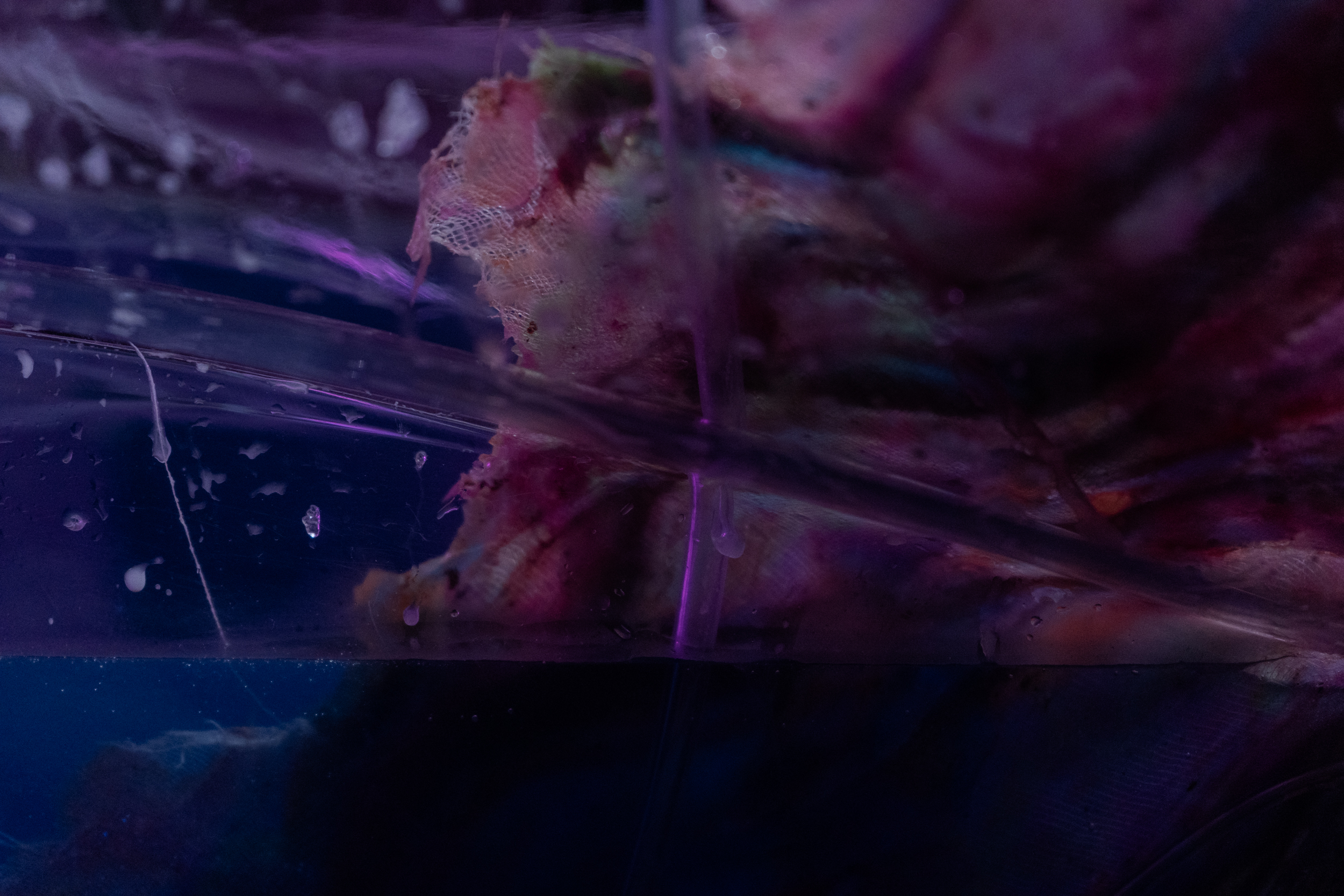 EG_09163